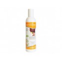 ACTIVILONG – SHAMPOO 250ML CAROTTE