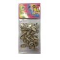 PERLE COQUILLE PACK 12PCS