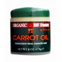 ORGANIC - CARROT OIL 6OZ